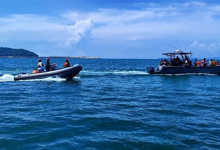 Video: Practican en el mar cómo rescatar a ballenas atrapadas en mallas de pesca