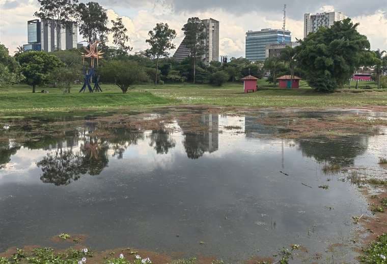 La Sabana contará con iluminación