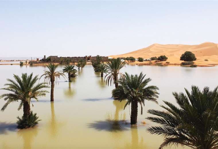 Imágenes de raras inundaciones en desierto del Sahara que no ocurrían desde hace 50 años