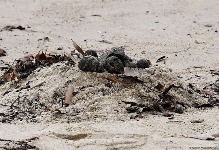 Cierran dos playas de Sídney por cientos de misteriosas bolas negras de residuos