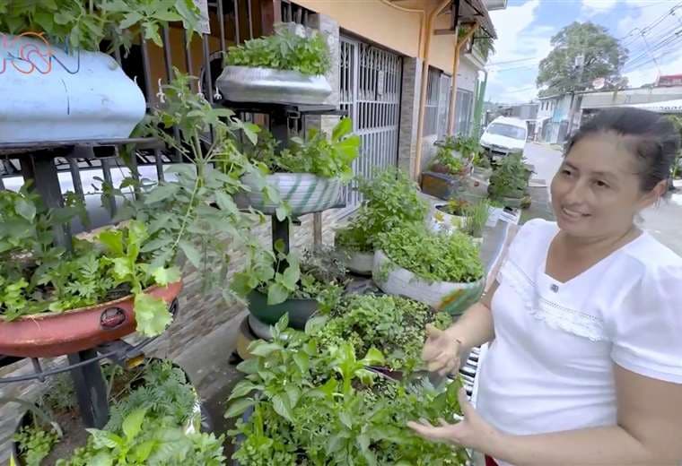 Pasión verde: el huerto que cura en La Carpio