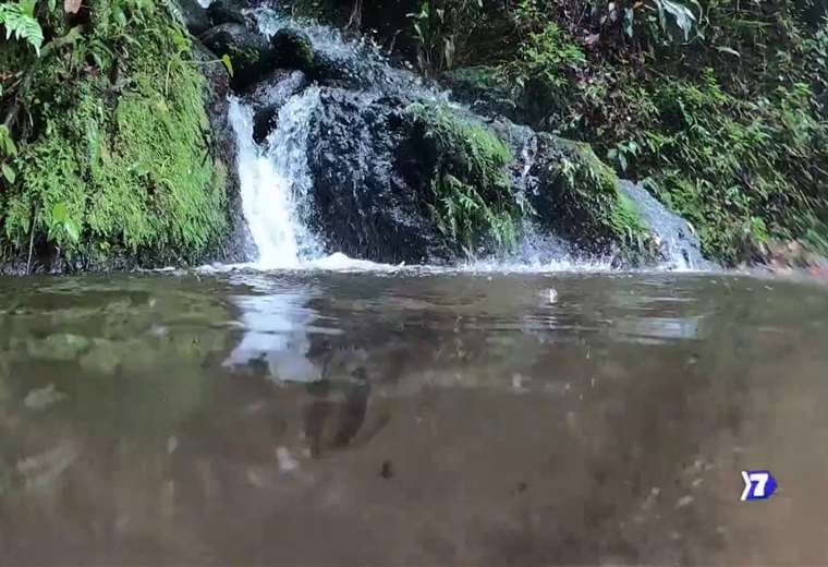 Sembrando agua