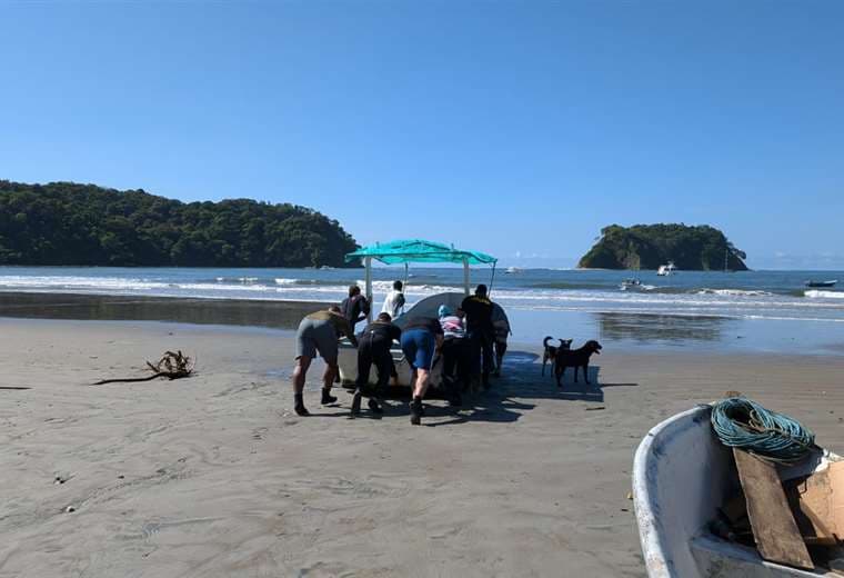 Buzos del OIJ buscan a Daniela Escobar en el mar