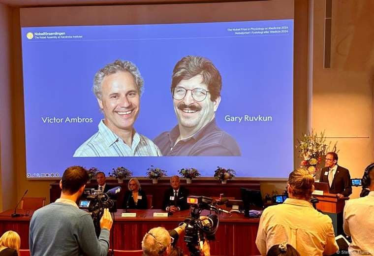 Dos estadounidenses ganan el Nobel de Medicina por avances en regulación de genes