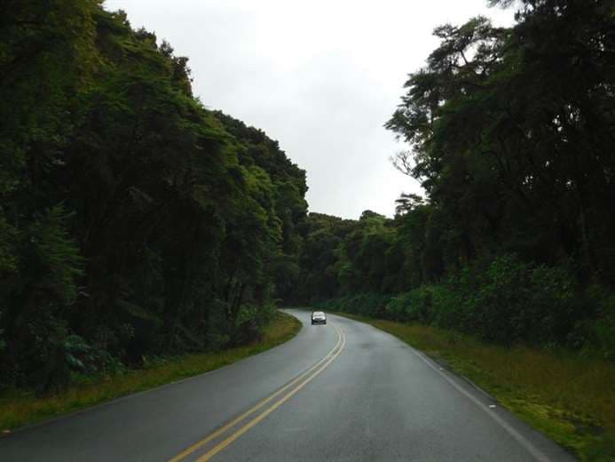 Ruta 32, Cerro de la Muerte y Cambronero estarán cerradas de 6 p. m. a 5 a. m.