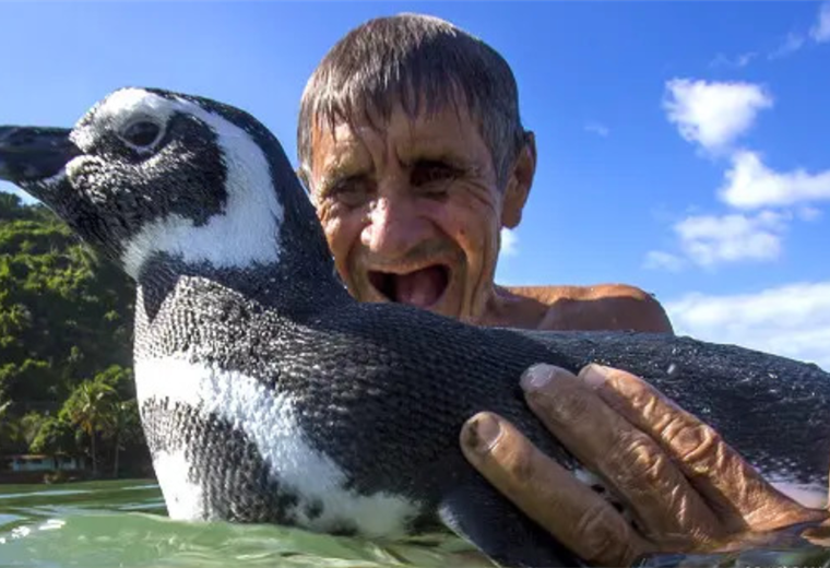 "Mi amigo el pingüino": la increíble historia de una amistad que conmovió al mundo