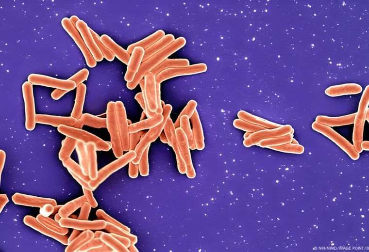 Las ocho bacterias más peligrosas del mundo