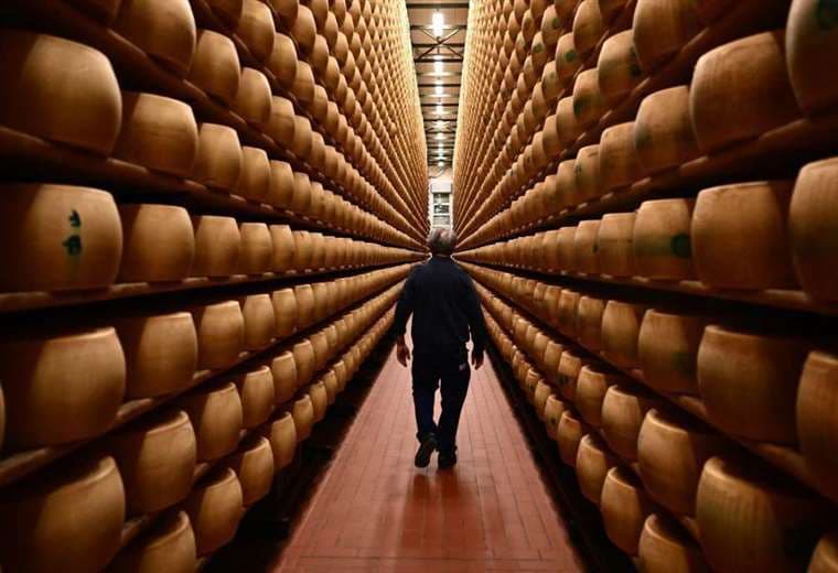 ¿Por qué el queso gourmet está en la mira de criminales del mercado negro?