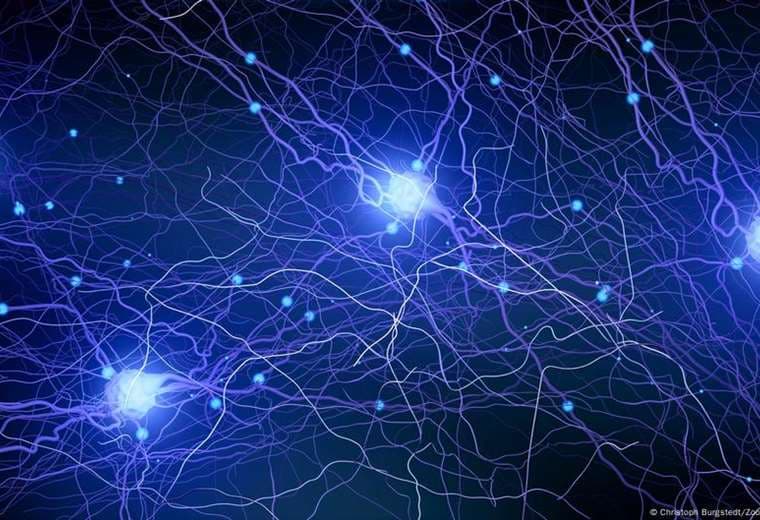 Cerebro es mucho más lento que una conexión a Internet, según nuevo estudio