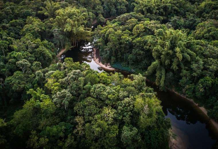 Siete avances positivos que dejó 2024 en la lucha contra el cambio climático