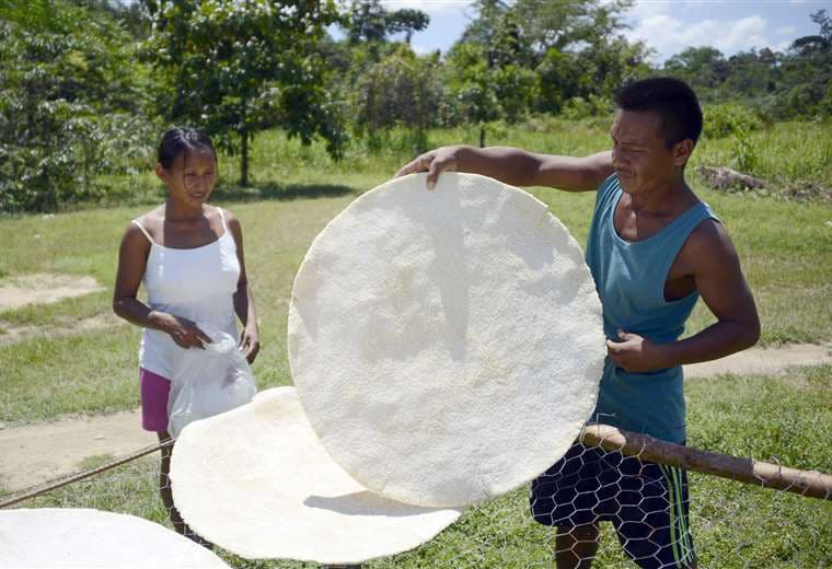 Casabe, un ancestral pan de yuca, declarado patrimonio de la humanidad