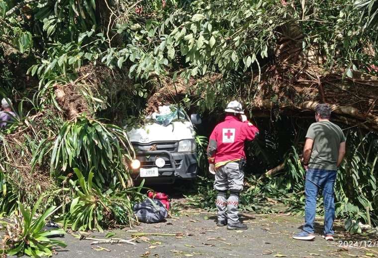 Árbol cae sobre ambulancia de CCSS y deja a chofer prensado en Siquirres