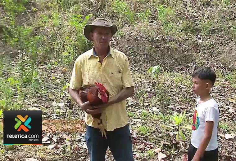 El gallo misterioso del cerro inspiró una historia ganadora en ‘Mi cuento fantástico’