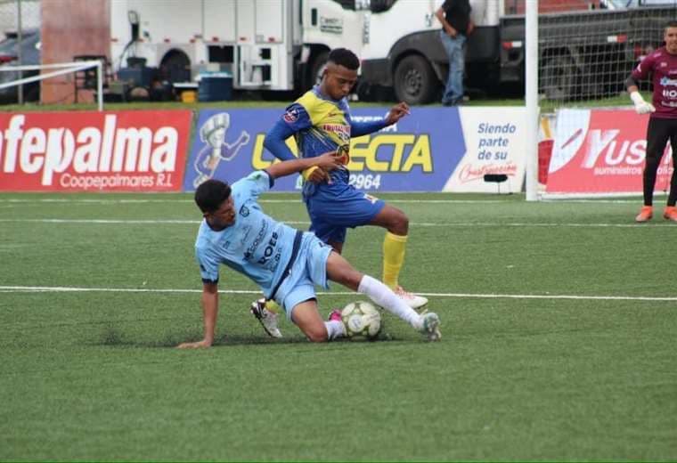 Prensa Linafa