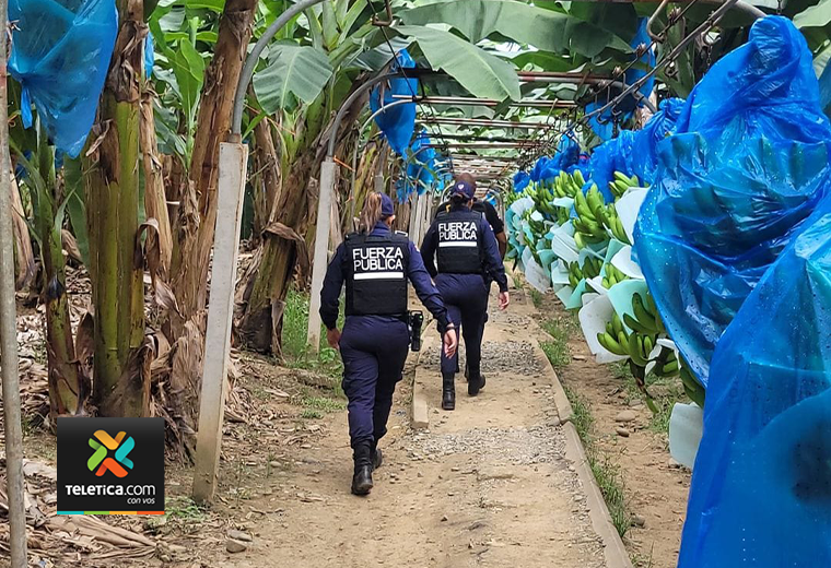 Asesinan a dos trabajadores dentro de finca bananera en Batán