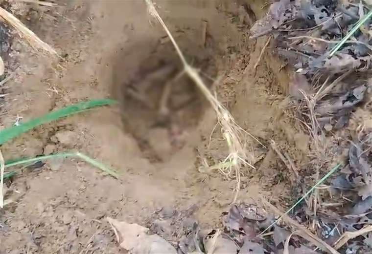 Video: OIJ se traslada a finca en Osa para confirmar si huesos encontrados son de Emilce Soto