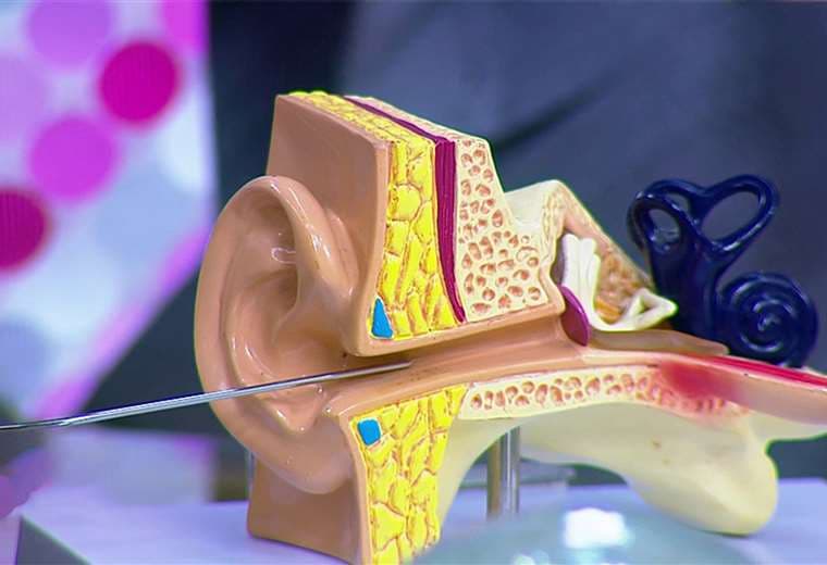 ¿Sabía que puede prevenir la pérdida auditiva? Aquí le contamos cómo
