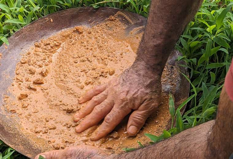 Caso “Shark”: Expediente revela supuesto vínculo de pastor con extracción ilegal de oro en Crucitas