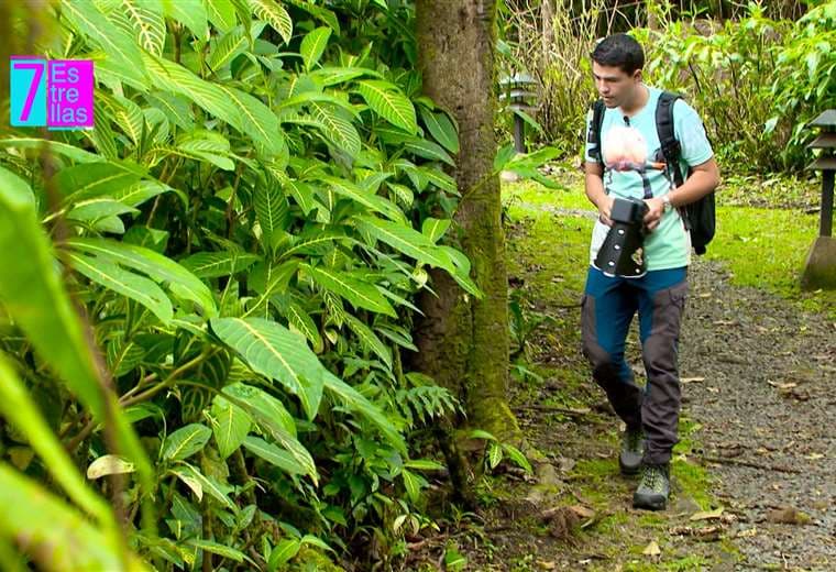 Peter, el amante de los insectos