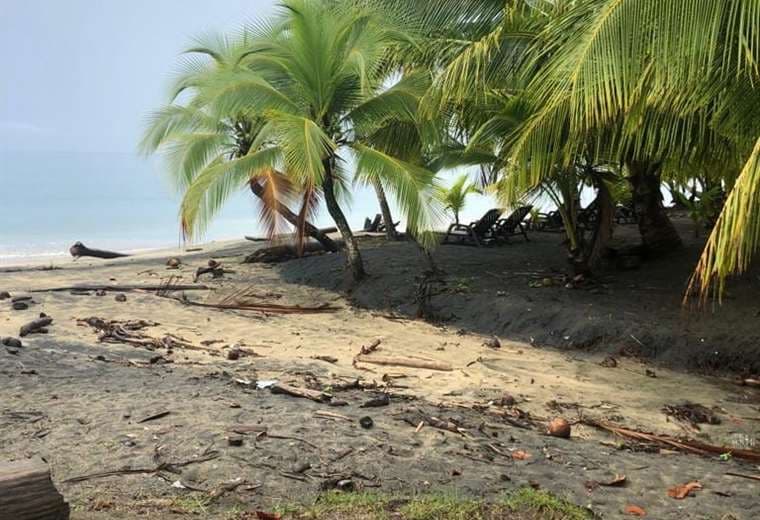 Estas son las medidas cautelares que pide la Fiscalía contra dueño de finca en Manzanillo