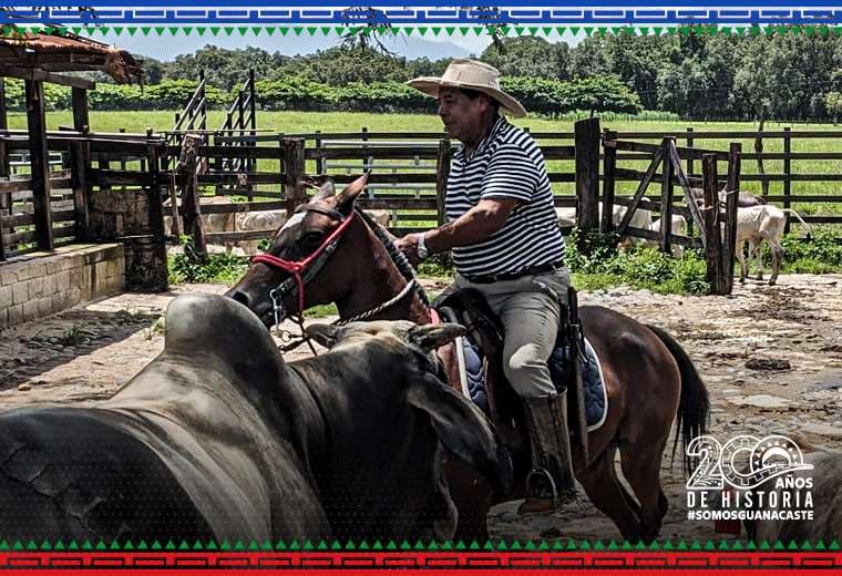 Sabanero guanacasteco: ¿Está acaso en peligro de extinción?