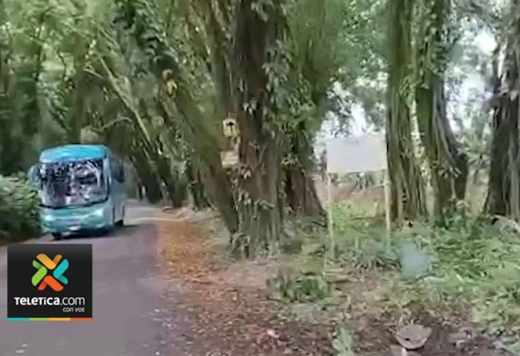 Vecinos piden cortar árboles alrededor de calle en Siquirres tras muerte de menor