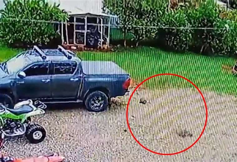 Video: Llanta de avión ligero cayó desde el cielo en patio de casa en Puntarenas