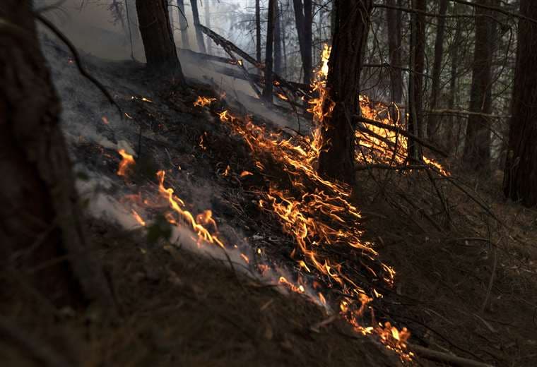 Incendios forestales se extienden a siete departamentos de Colombia