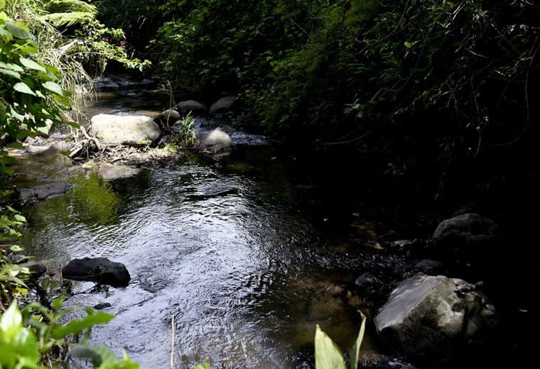 Cruz Roja rescató a hombre que era arrastrado por río, pero no logró salvarle la vida