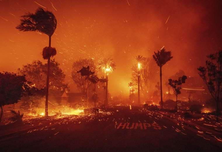 Tica narra drama por incendios en California: “La clínica donde trabajo desapareció”