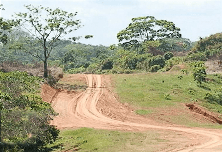 Tragedia en Upala: Dos adultos asesinados a balazos y niña de cinco años está grave