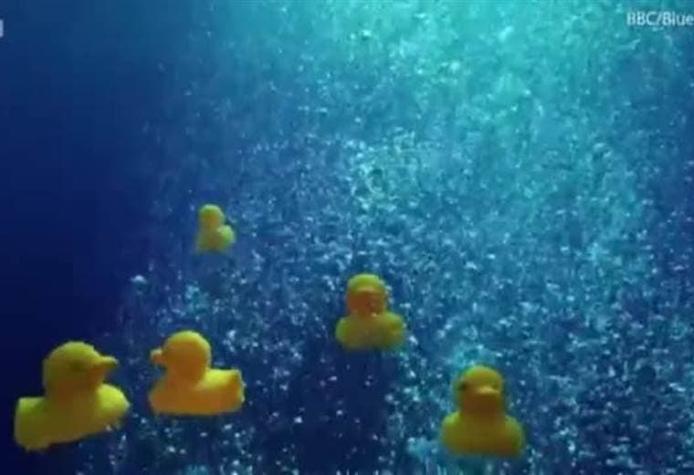 Blue Planet ll lanzó 250 patos de plástico al Océano Pacífico de Costa Rica