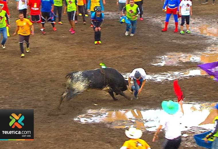 Ganaderías más destacadas del país llegan este año al redondel de Zapote