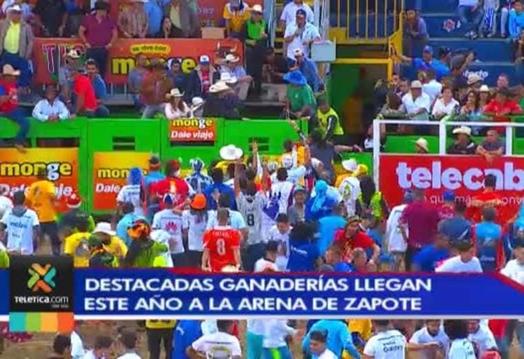 Ganaderías más destacadas del país llegan este año al redondel de Zapote