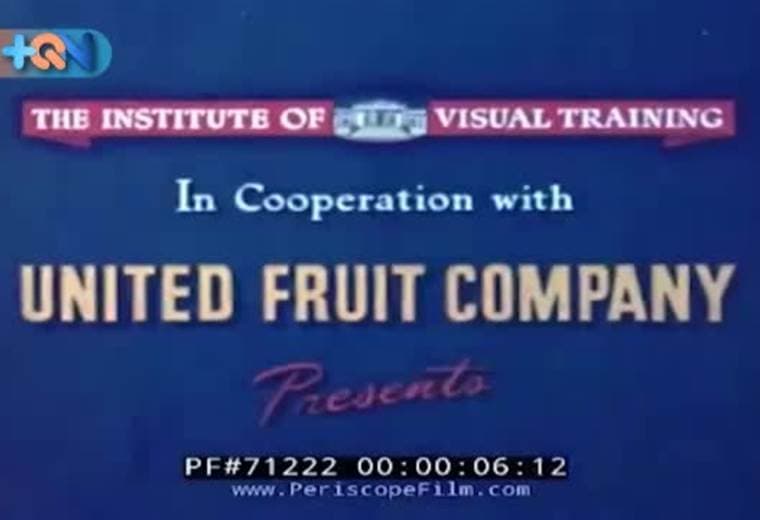 La explotación del banano en Costa Rica fue lo que dio origen al pueblo de Quepos. A partir de 1930 los primeros habitantes se asentaron en lo que hoy es conocido como la zona americana.