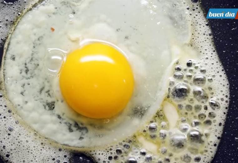 El huevo es una proteína de muy alta calidad