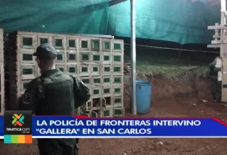 Policía de Fronteras intervino "gallera" en San Carlos