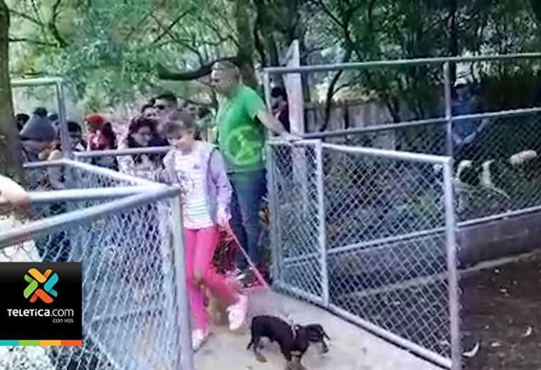 Con materiales reciclados construyeron un parque para perros en San Rafael de Heredia