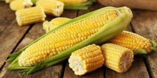maíz 
