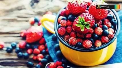¿Qué son los antioxidantes y cuál es su función?