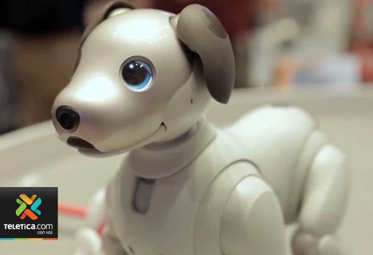 Estado de Illinois prohíbe venta de mascota electrónica de Sony que utiliza inteligencia artificial