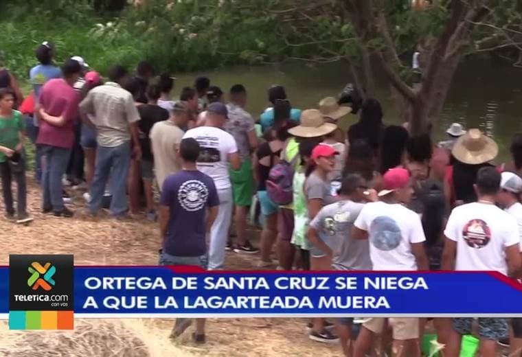Comunidad de Ortega en Nicoya realizó su tradicional lagarteada