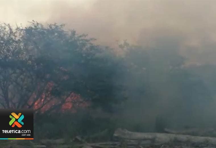 Incendios forestales de los últimos días también han afectado al sector turismo
