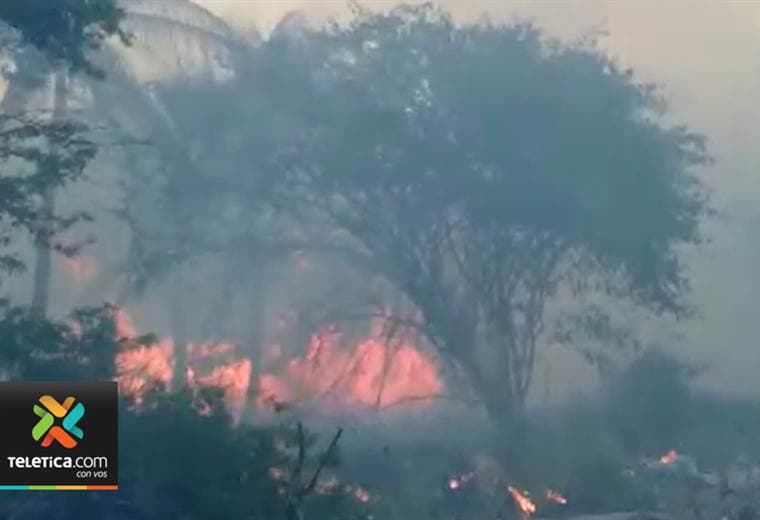 Autoridades de Ambiente llaman a la prevención y denuncia ante gran cantidad de incendios forestales