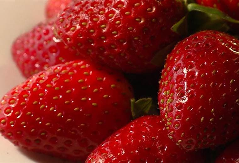 Propiedades nutricionales de las fresas