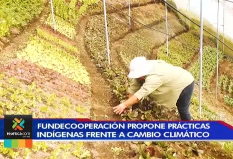 Iniciativa costarricense que destaca la agricultura indígena ganó premio internacional