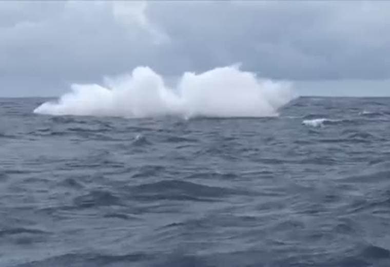 Migración de ballenas jorobadas en el Pacífico del país da impulso al turismo de Quepos
