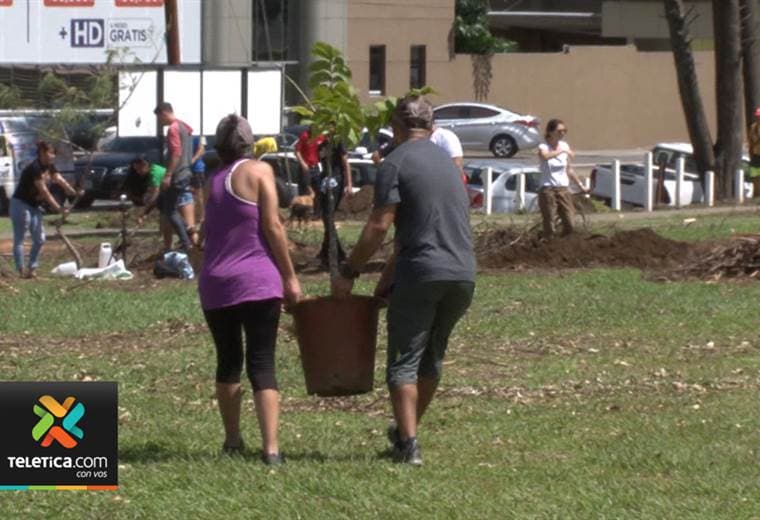 Decenas de voluntarios se apuntaron a sembrar 84 árboles en el parque la Sabana.