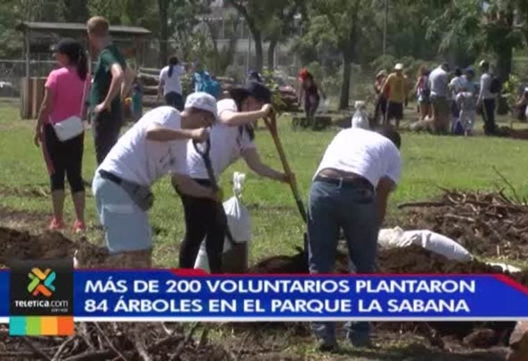 Decenas de voluntarios se apuntaron a sembrar 84 árboles en el parque la Sabana.