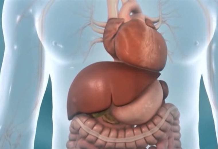 ¿Qué es peor para la salud colesterol y triglicéridos altos?